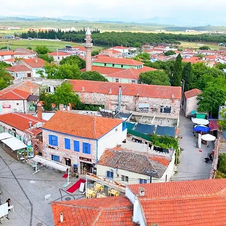 Blue Boz Kuecuekkoey